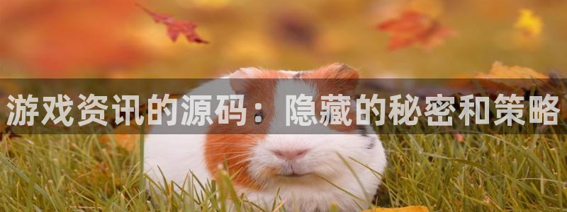 星欧娱乐什么意思：游戏资讯的源码：隐藏的秘密和策略
