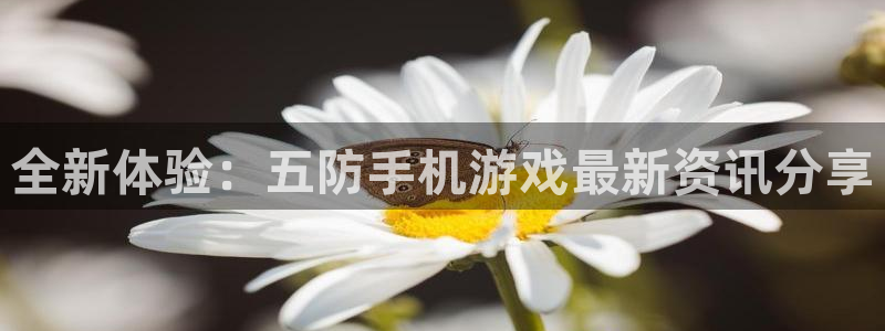 星欧娱乐的意思：全新体验：五防手机游戏最新资讯分享