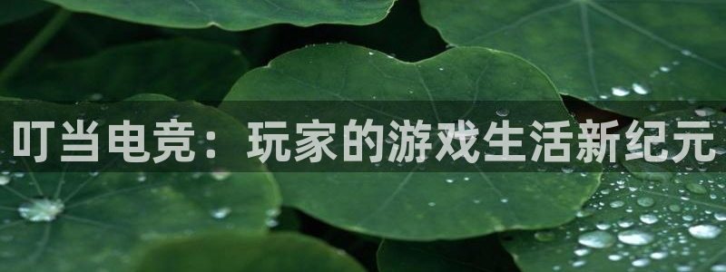 星欧娱乐注册平台：叮当电竞：玩家的游戏生活新纪元