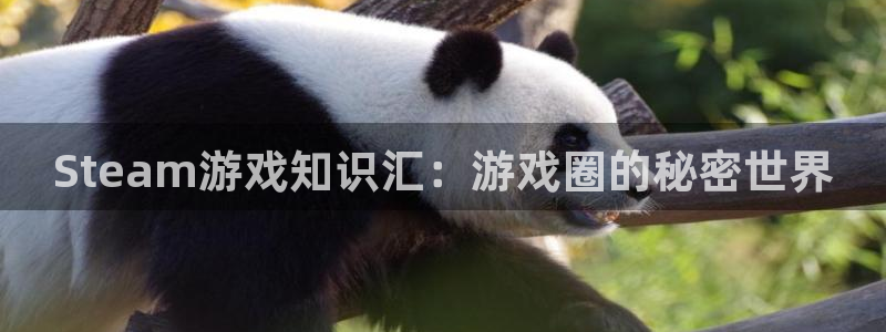 星欧娱乐官方登录网址：Steam游戏知识汇：游戏圈的秘密世界