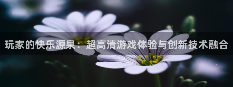 星欧娱乐平台官方网站：玩家的快乐源泉：超高清游戏体验与创新技