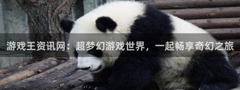 星欧娱乐升级5994月