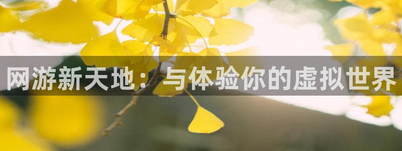 星欧娱乐是什么：网游新天地：与体验你的虚拟世界