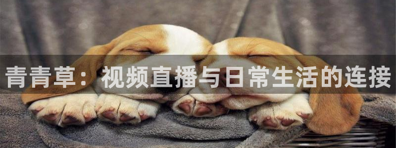 nba黑白直播nba：青青草：视频直播与日常生活的连接