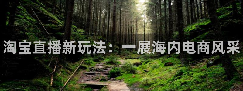 黑白直播篮球在线观看：淘宝直播新玩法：一展海内电商风采