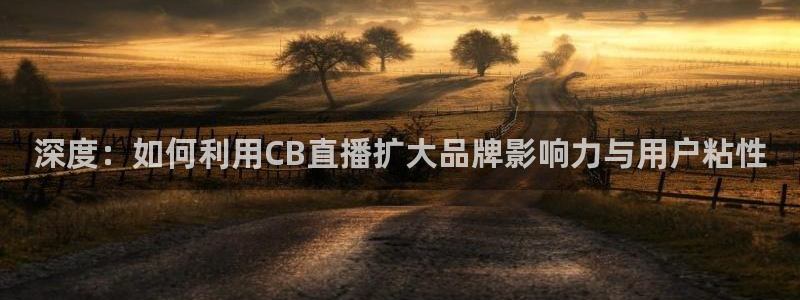 黑白体育在线直播免费观看高清：深度：如何利用CB直播扩大品牌影响力与用户粘性