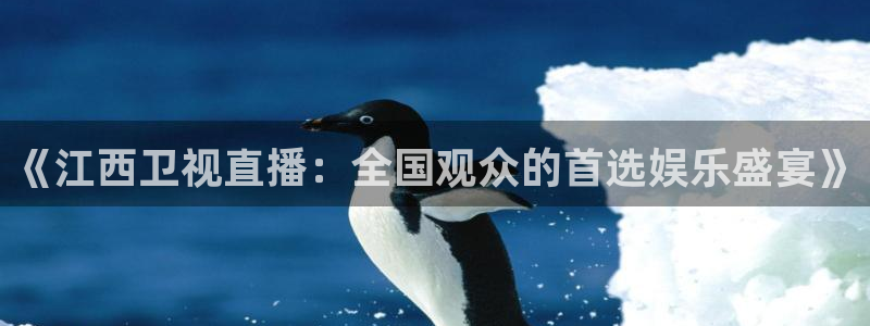 黑白直播体育在线直播免费观看：《江西卫视直播：全国观众的首选娱乐盛宴》