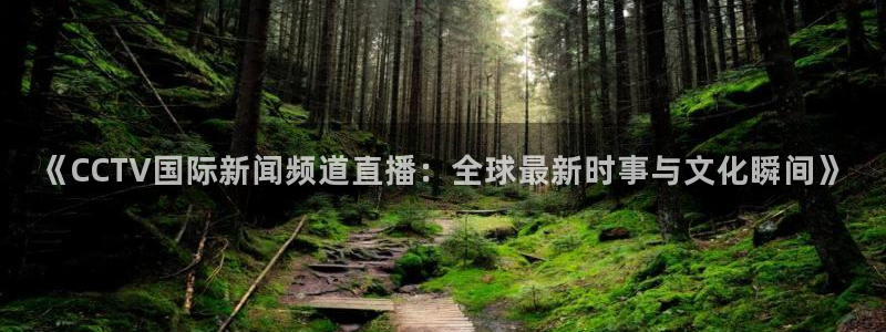 黑白免费足球直播：《CCTV国际新闻频道直播：全球最新时事与文化瞬间》