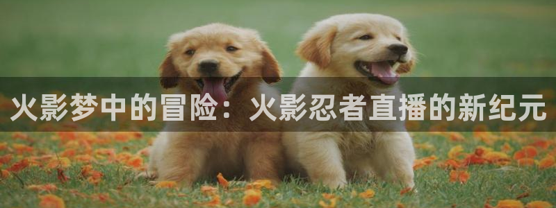 黑白体育直播网球：火影梦中的冒险：火影忍者直播的新纪元