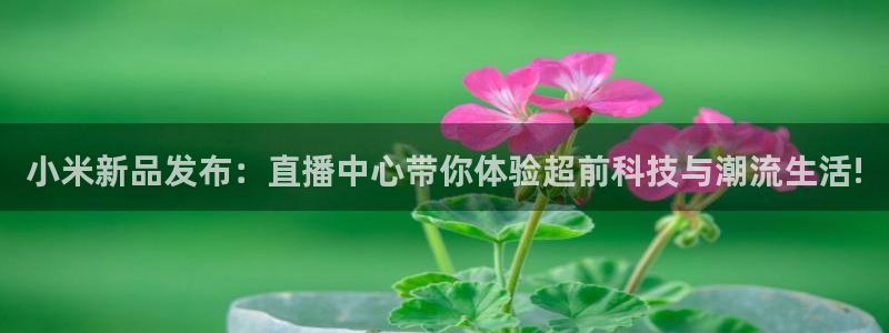 黑白直播体育nba直播下载手机版：小米新品发布：直播中心带你体验超前科技与潮流生活!