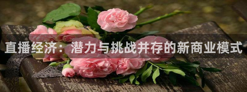 黑白体育高清直播：直播经济：潜力与挑战并存的新商业模式