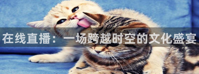 nba黑白直播：在线直播：一场跨越时空的文化盛宴