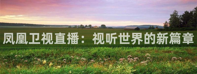 黑白直播免费体育：凤凰卫视直播：视听世界的新篇章