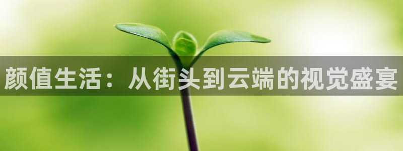 黑白体育直播观看：颜值生活：从街头到云端的视觉盛宴