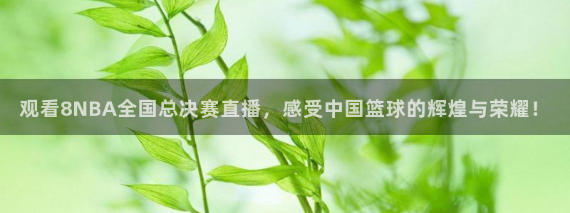 黑白体育在线直播免费观看：观看8NBA全国总决赛直播，感受中国篮球的辉煌与荣耀！